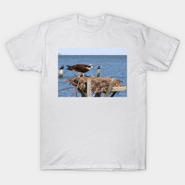 Osprey Nesting T-Shirt by tgass